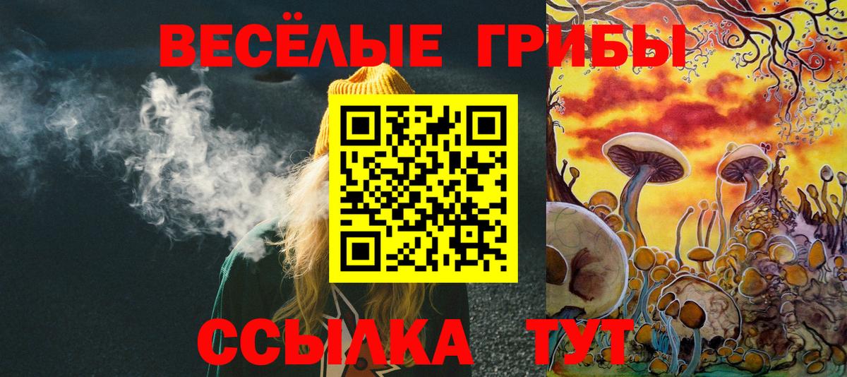 Галлюциногенные грибы Magic Shrooms  Вход с VPN  Строитель 